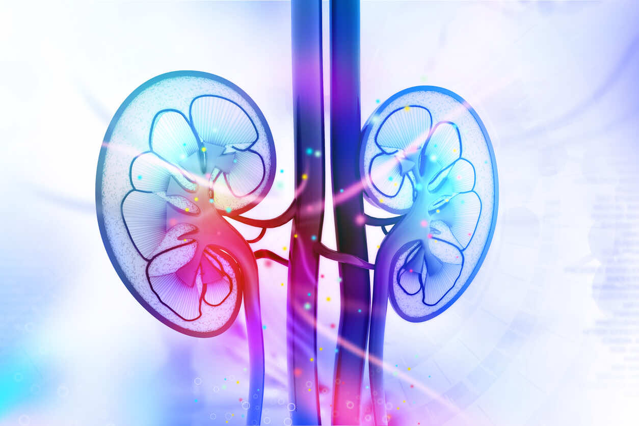 chronic-kidney-disease-vs-acute-renal-failure-kidney-treatment-in