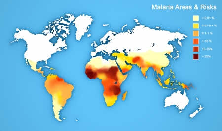 Malaria: What You Need To Know | London Doctors Clinic